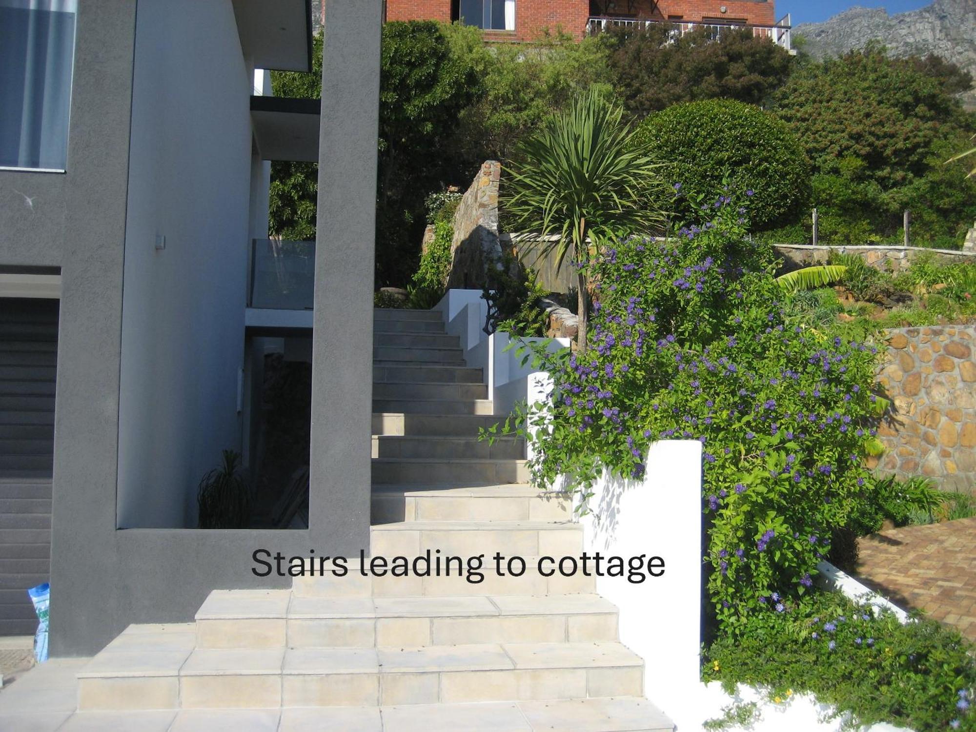 קייפטאון Camps Bay Cosy Accommodation מראה חיצוני תמונה