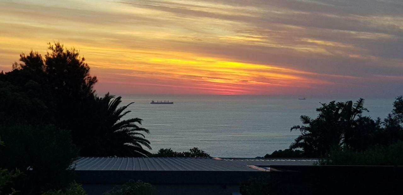 קייפטאון Camps Bay Cosy Accommodation מראה חיצוני תמונה